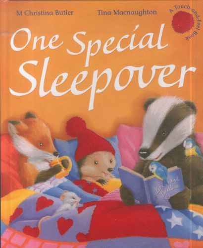 One Special Sleepover