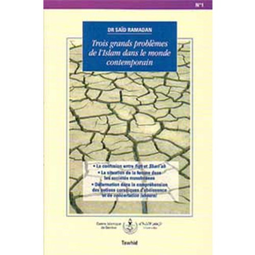 Trois grands problèmes de l'islam dans le monde contemporain