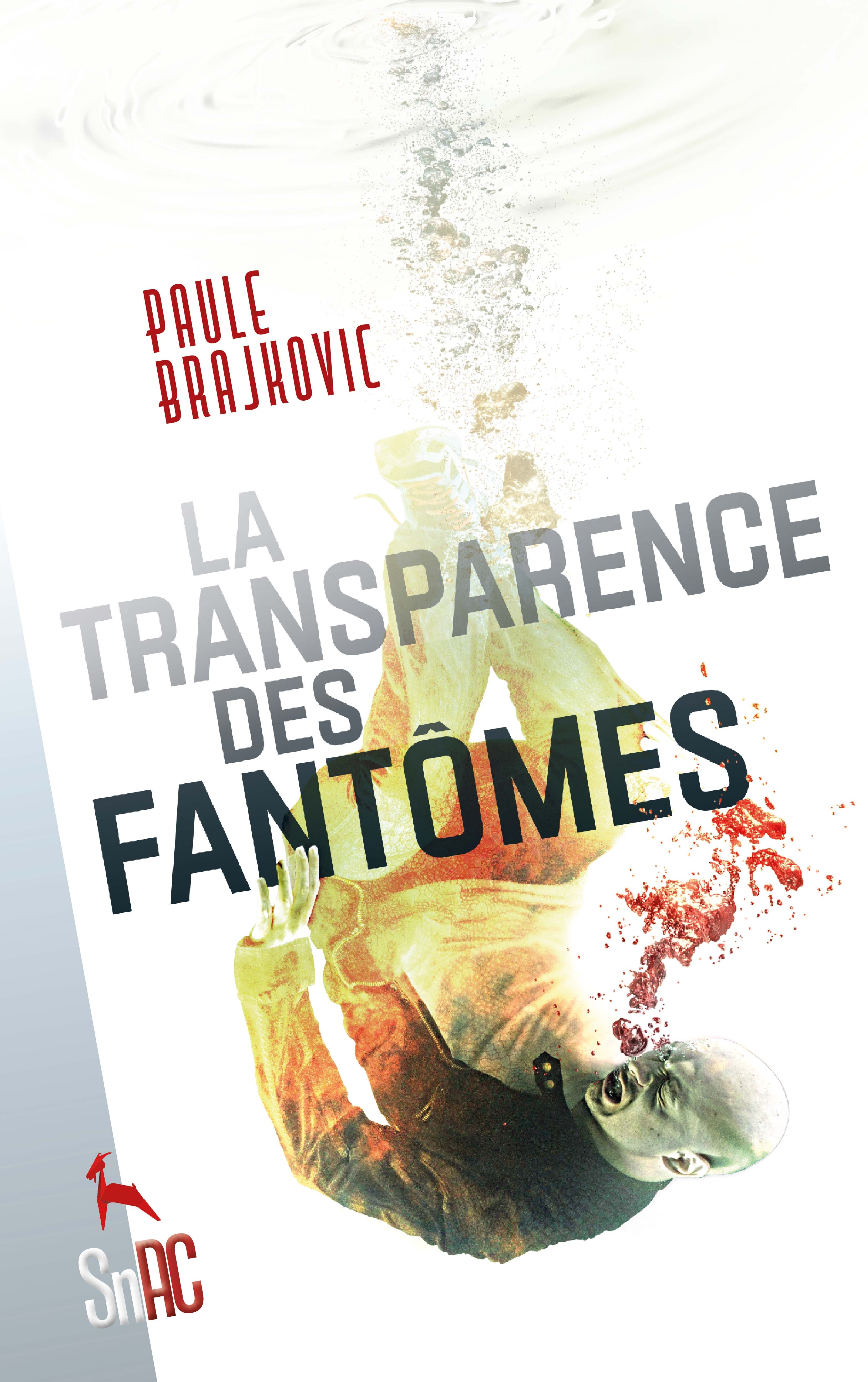 La Transparence des fantômes