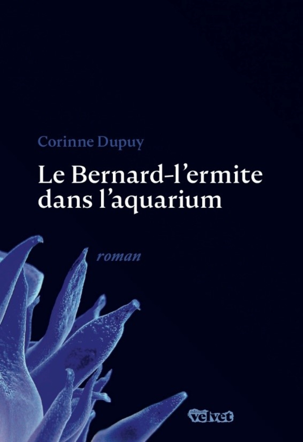 Le Bernard-l'ermite dans l'aquarium