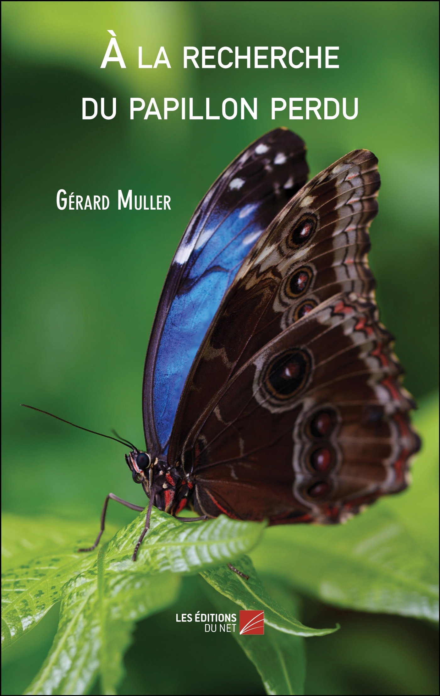 À la recherche du papillon perdu