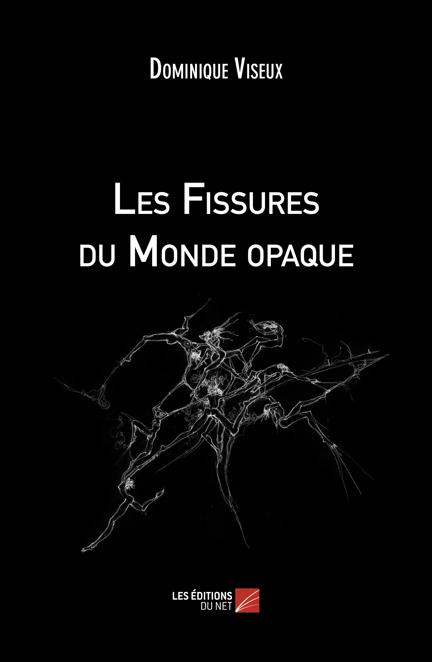 Les Fissures du Monde opaque