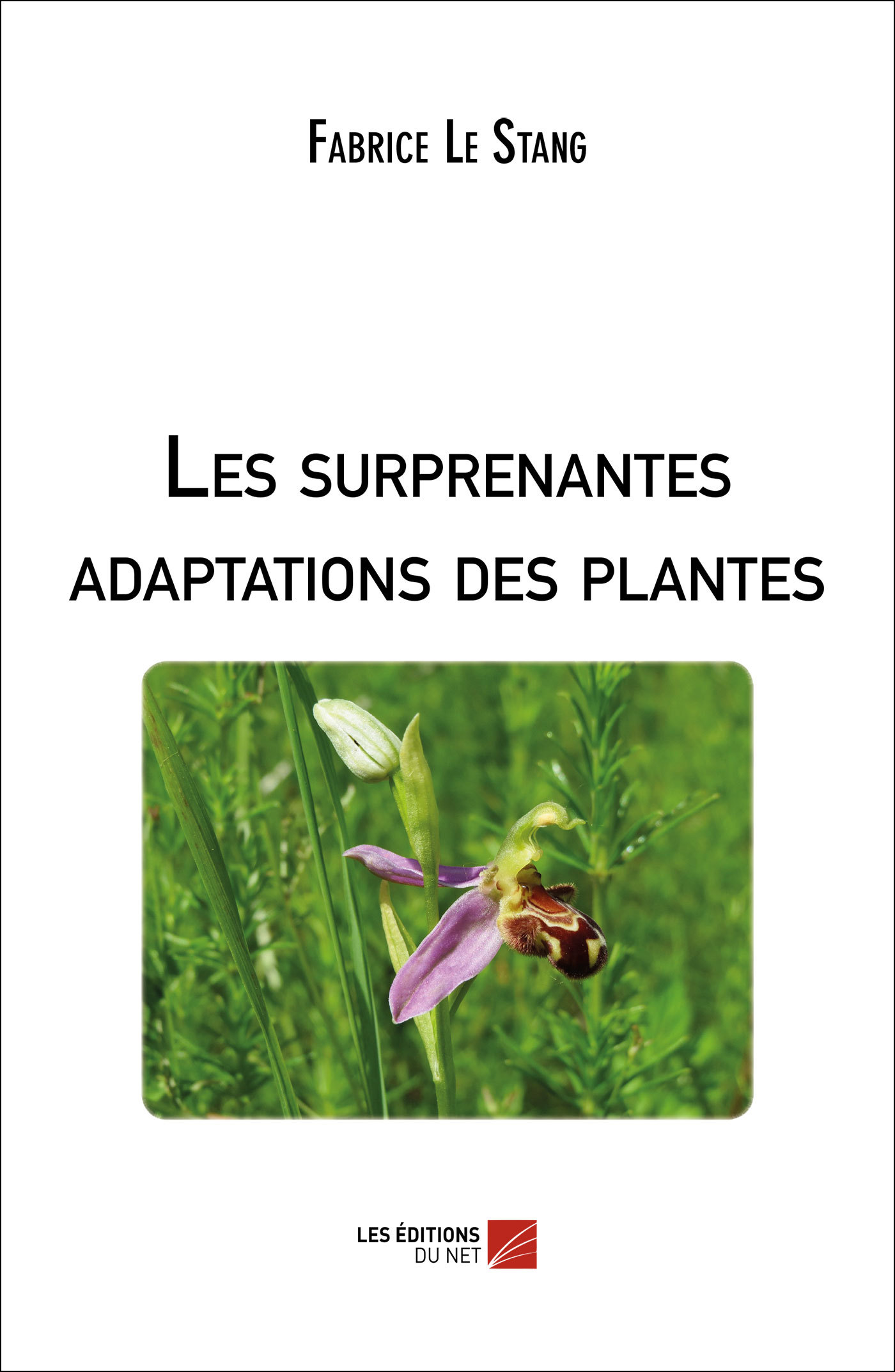 Les surprenantes adaptations des plantes