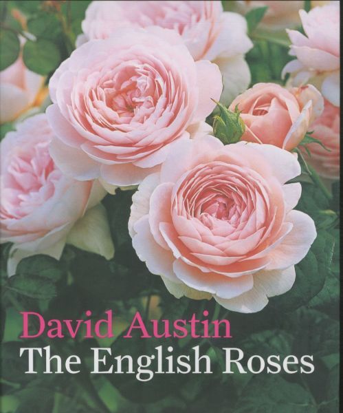 The English Roses