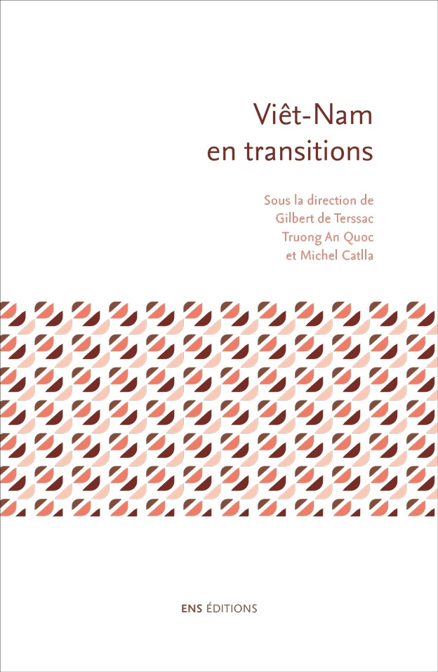 Viêt-Nam en transitions