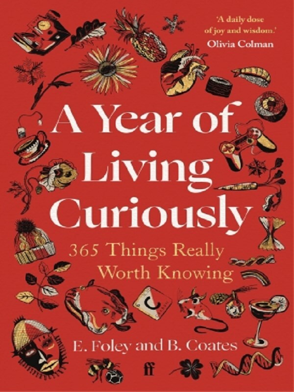 A Year of Living Curiously