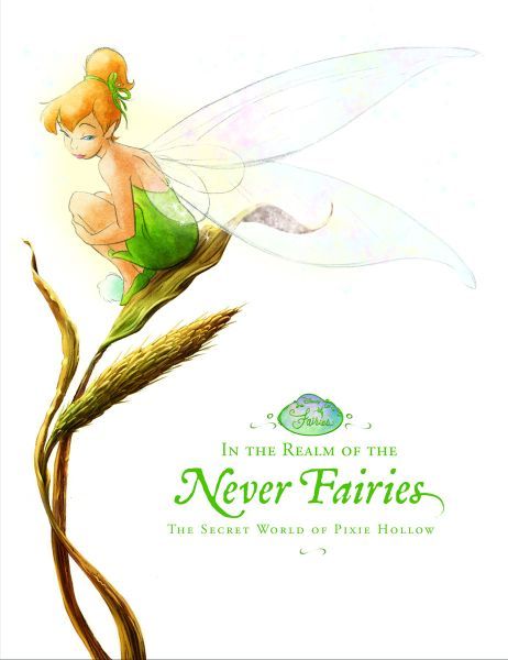 In the Realm of the Never Fairies