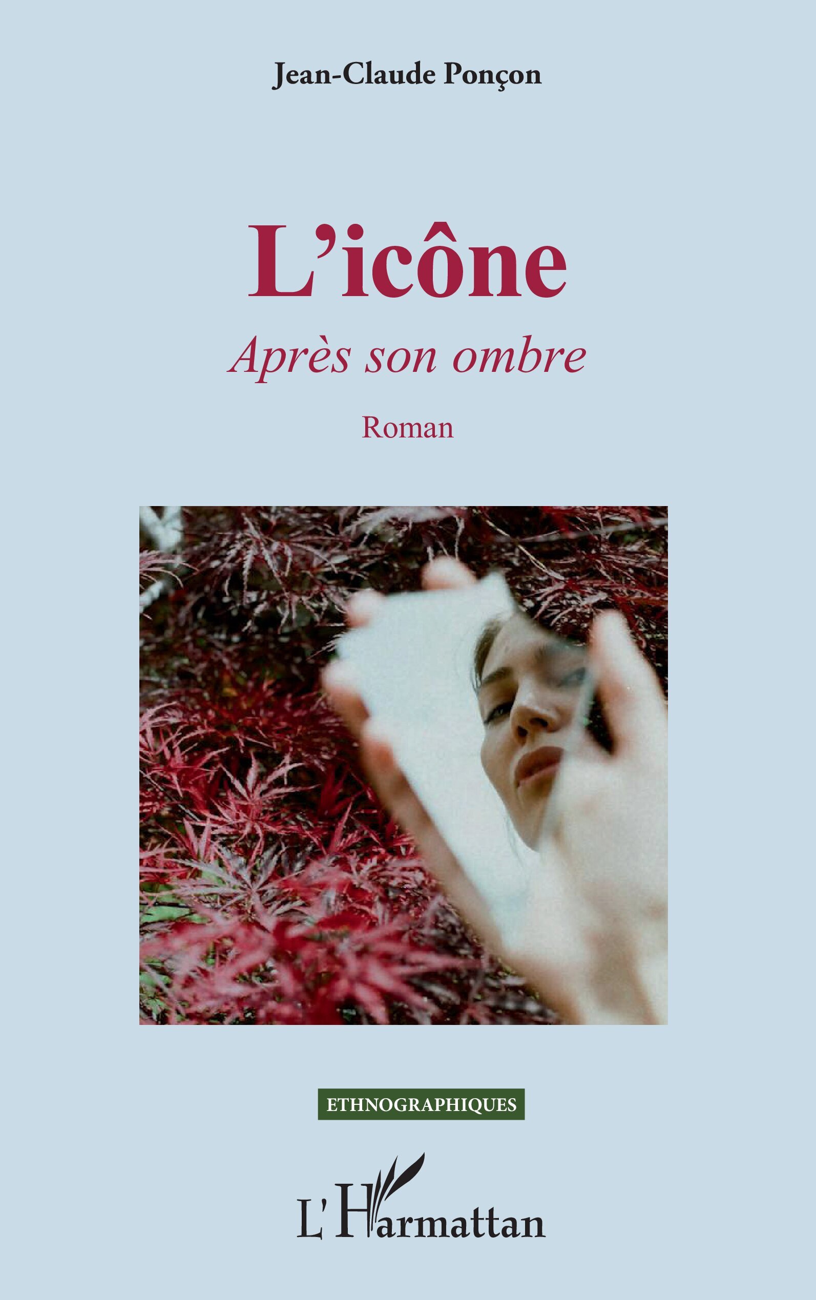 L'icône