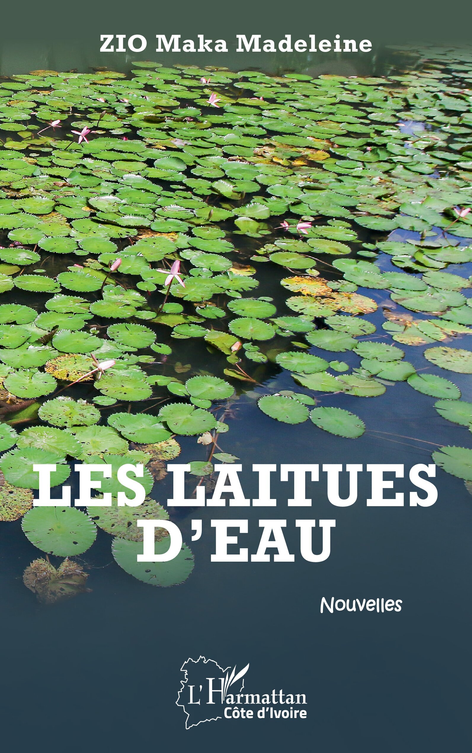 Les laitues d’eau