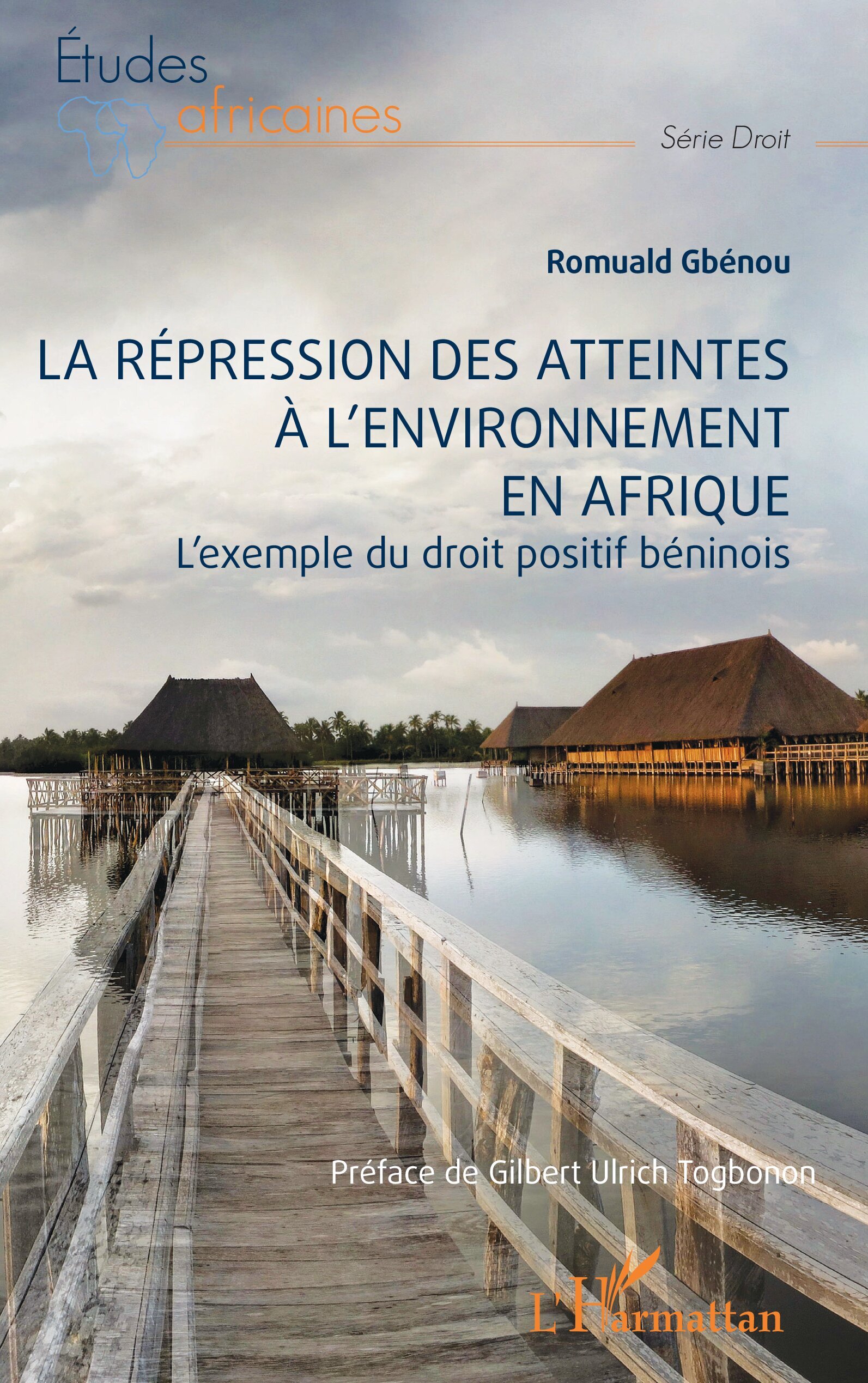 La répression des atteintes  à l’environnement en Afrique
