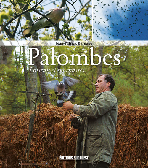 Palombes, L'Oiseau Et Ses Chasses