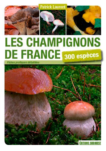 Champignons De France