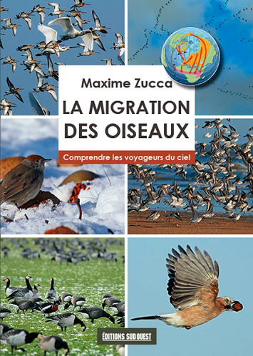 Migration Des Oiseaux (La)