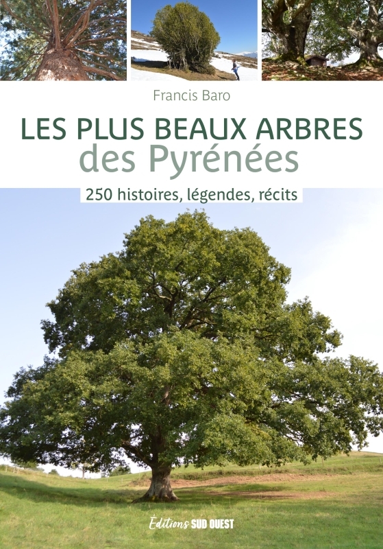 Les plus beaux arbres des Pyrénées