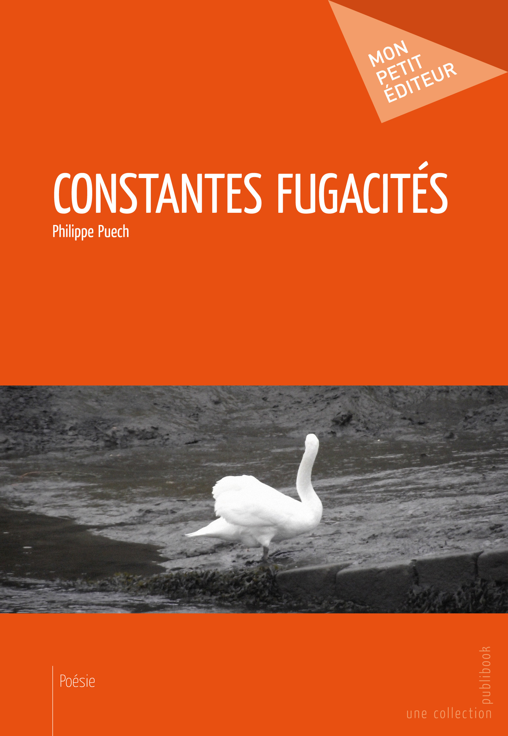 CONSTANTES FUGACITES