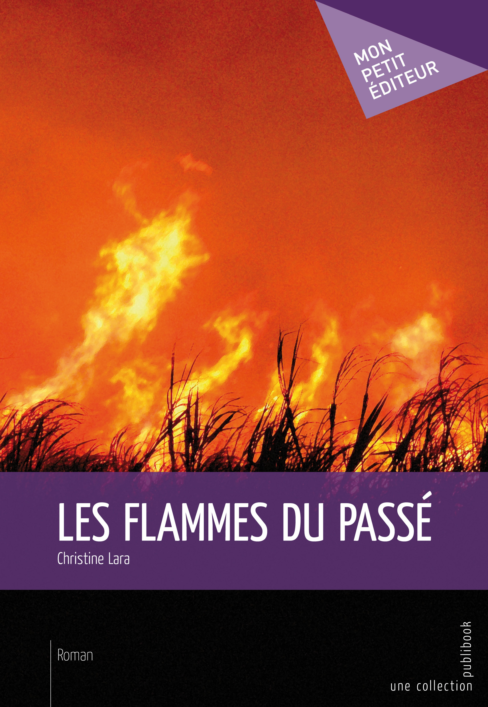 Les flammes du passé