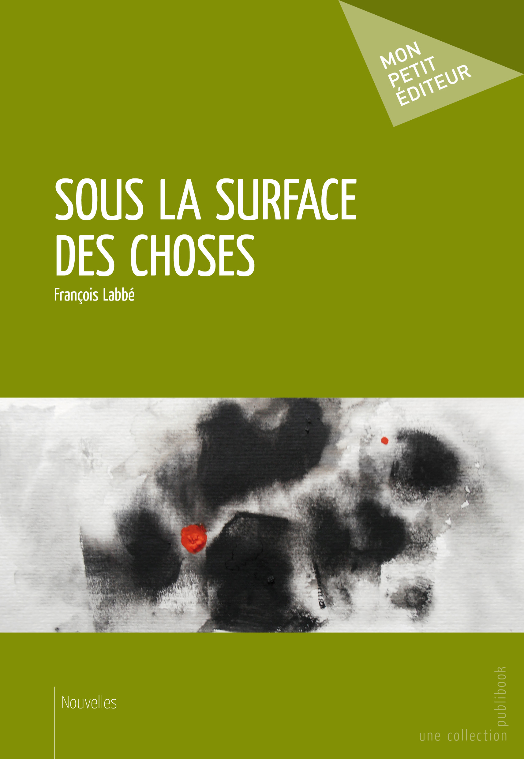 SOUS LA SURFACE DES CHOSES