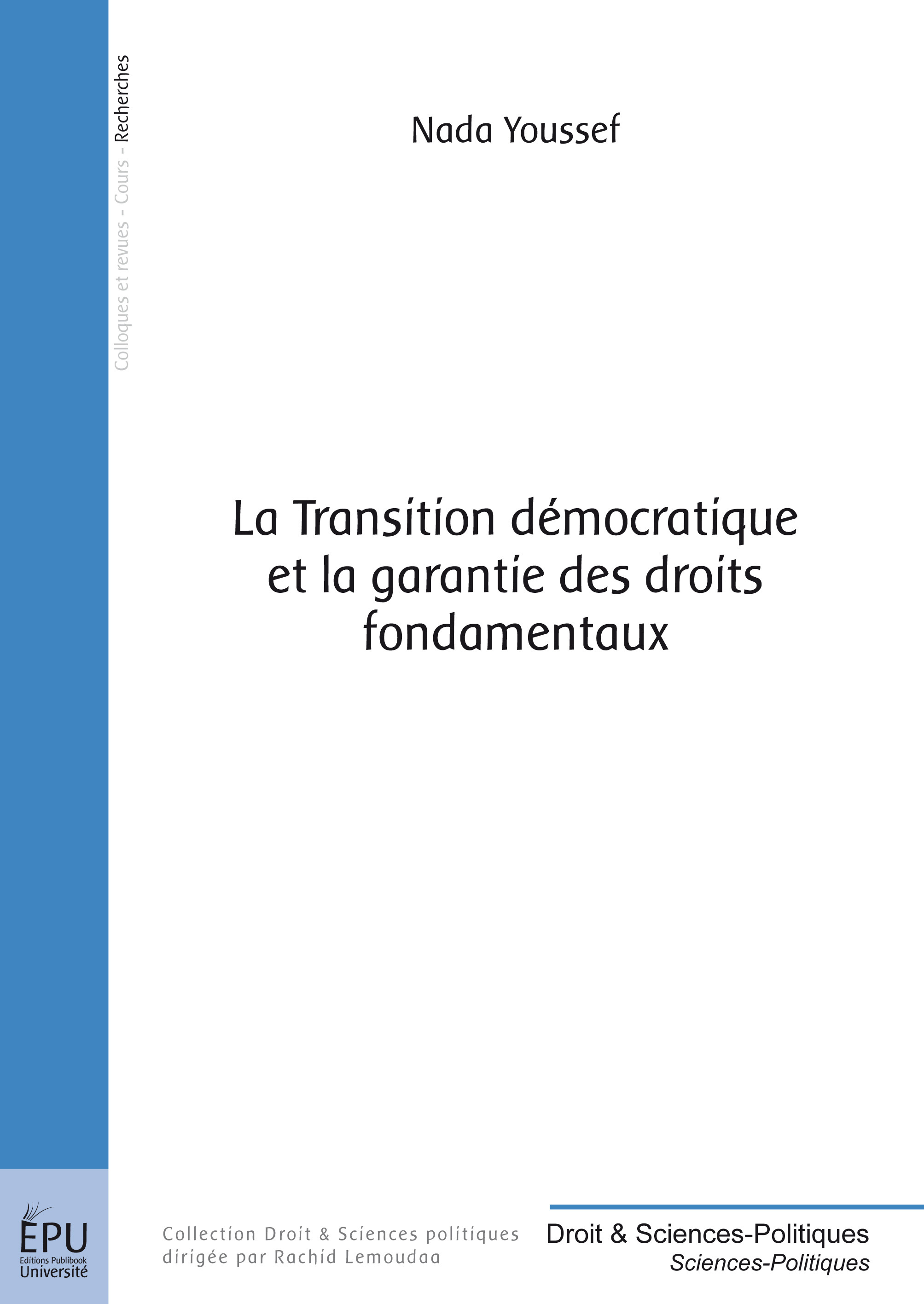 La transition démocratique et la garantie des droits fondamentaux - esquisse d'une modélisation juridique