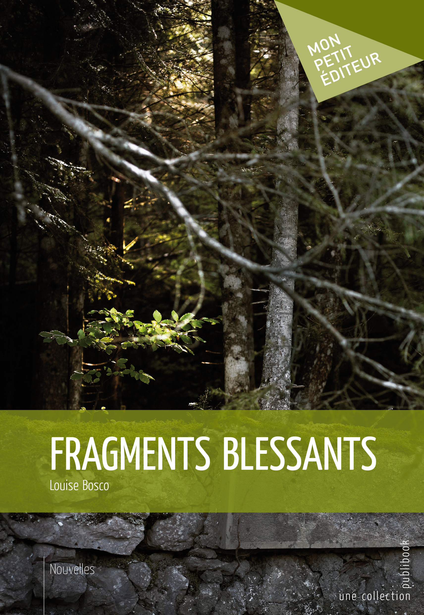 FRAGMENTS BLESSANTS