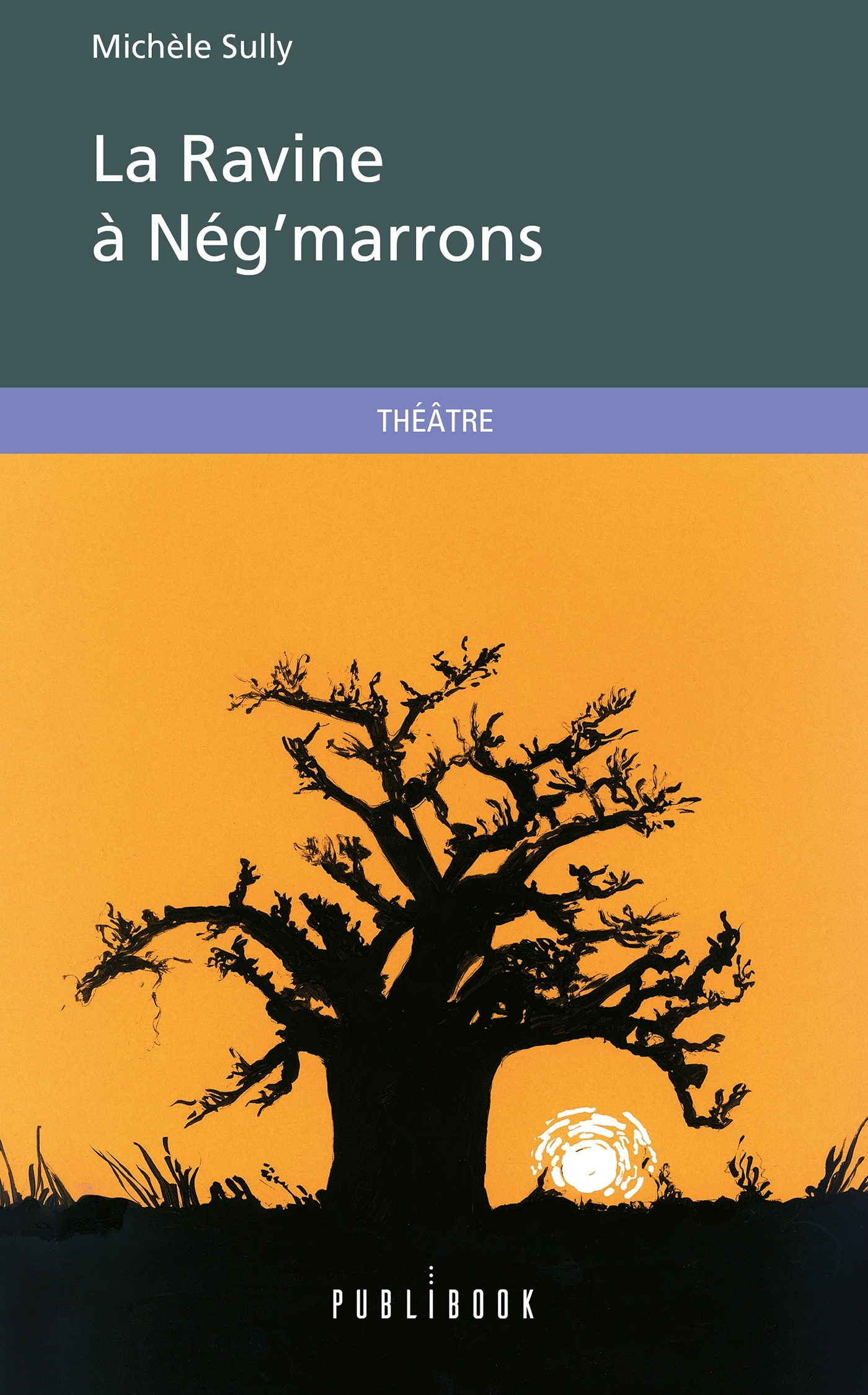 La Ravine à Nég'marrons