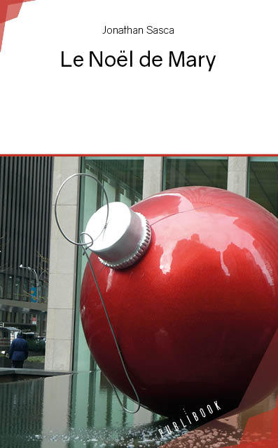 Le Noël de Mary