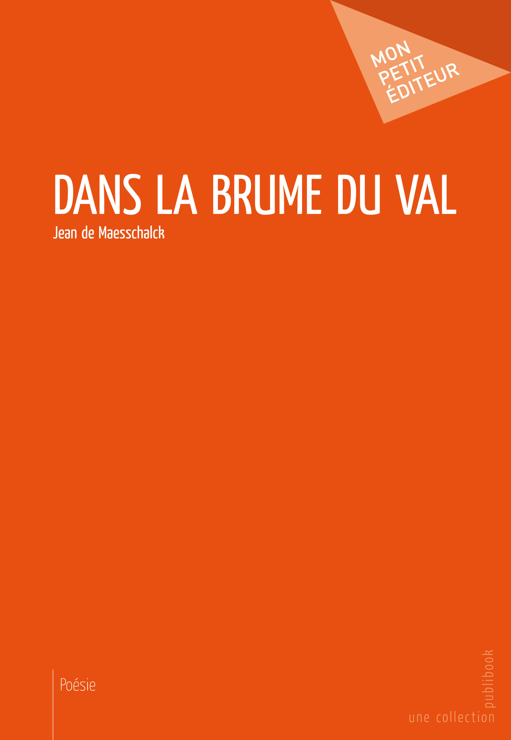 DANS LA BRUME DU VAL