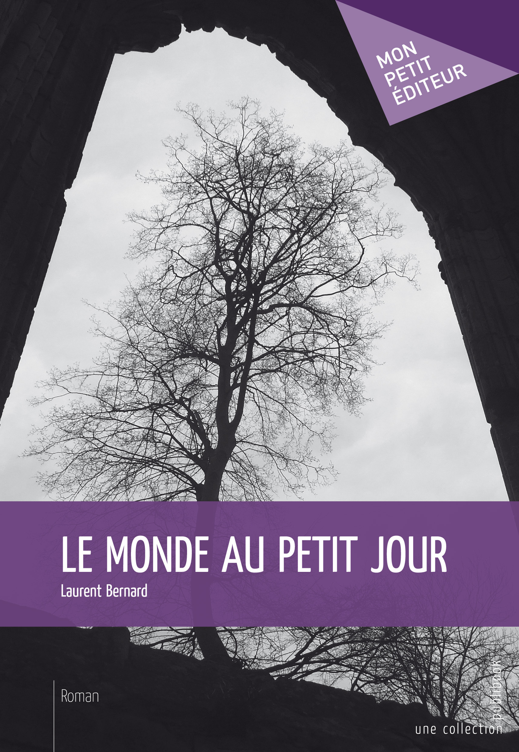 LE MONDE AU PETIT JOUR