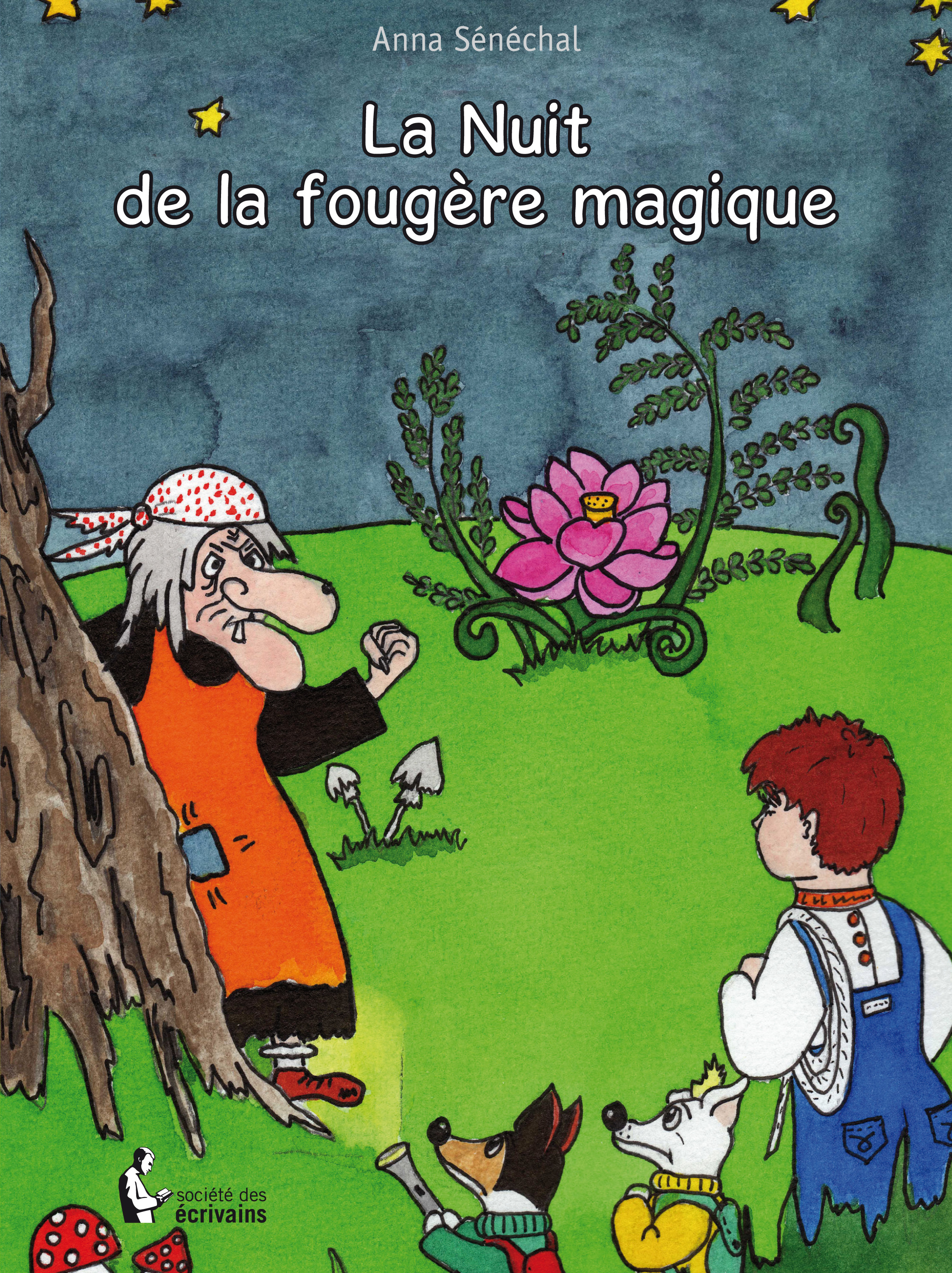 LA NUIT DE LA FOUGERE MAGIQUE