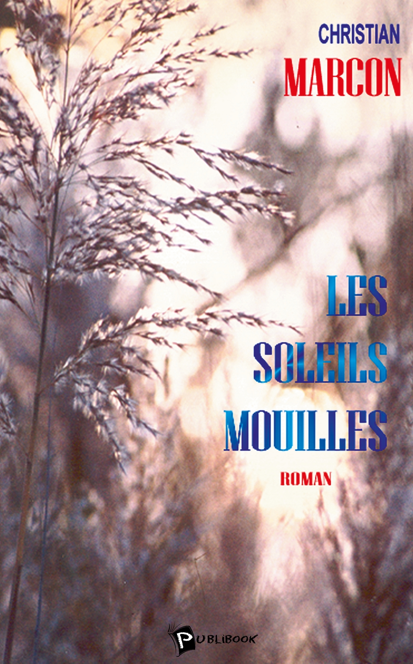Les Soleils mouillés