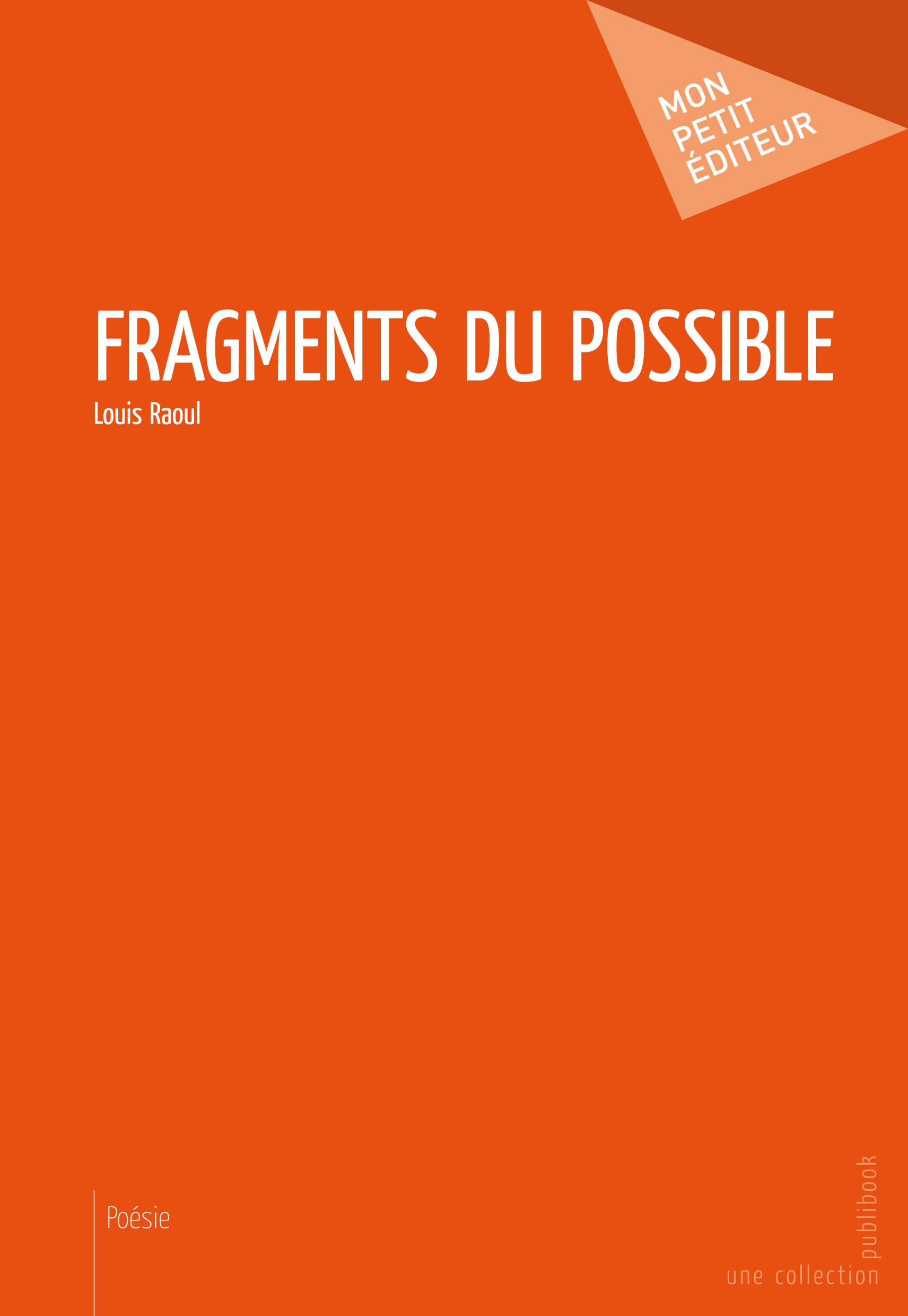 FRAGMENTS DU POSSIBLE