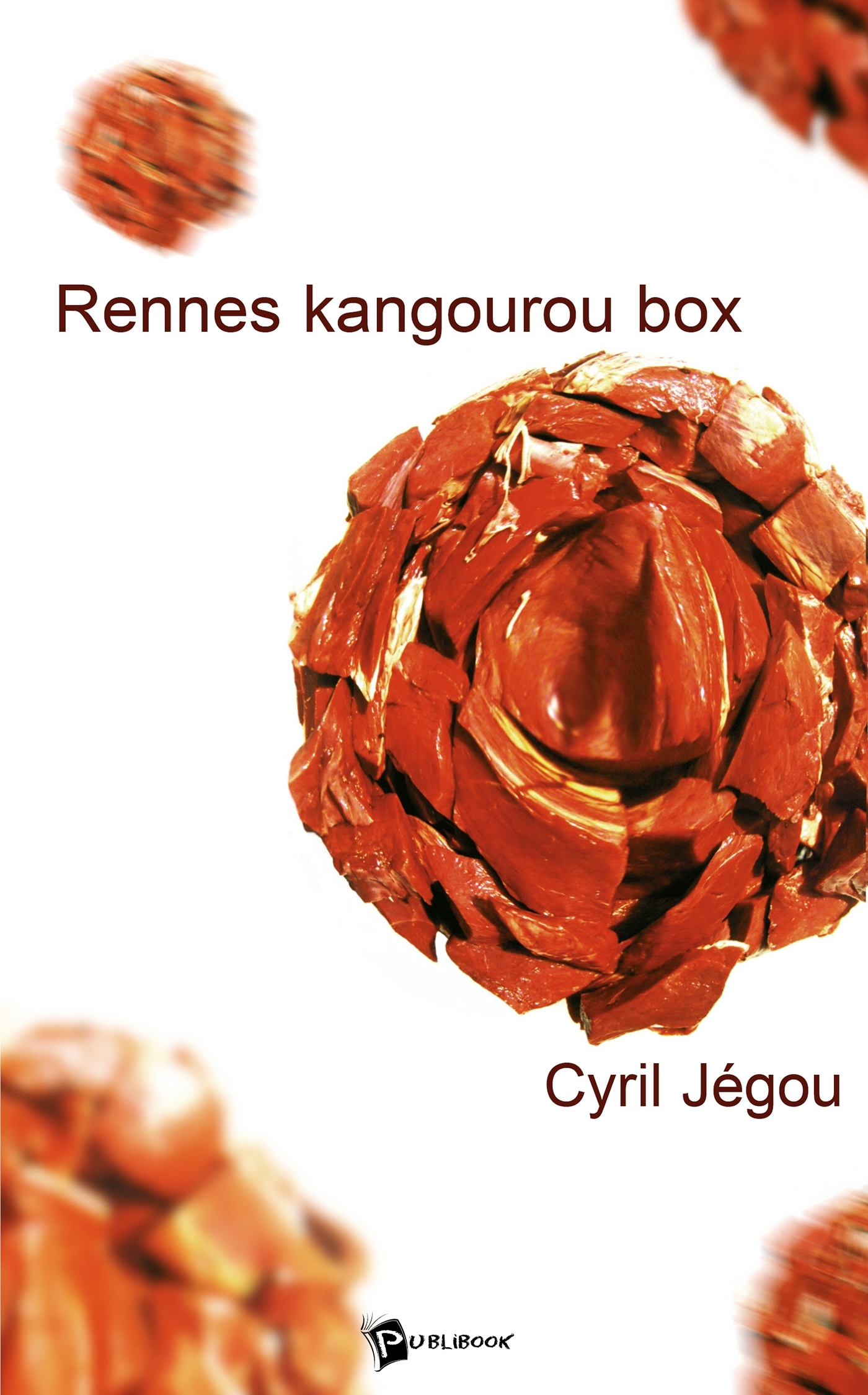 Rennes kangourou box