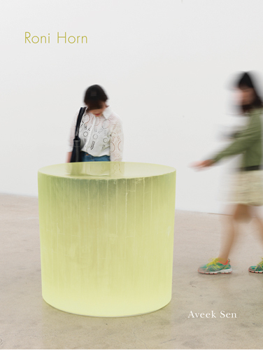 Roni Horn The Sensation of Sadness at Having Slept Through a Shower of Meteors /anglais