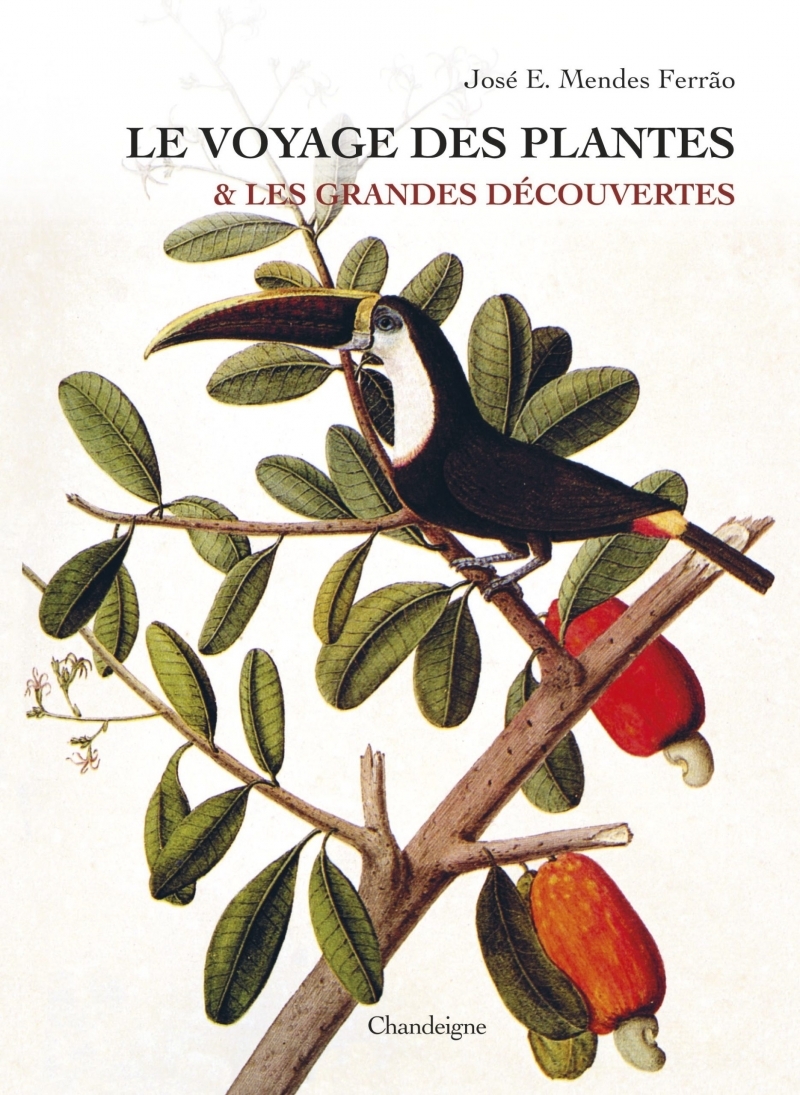 Le voyage des plantes et les grandes découvertes