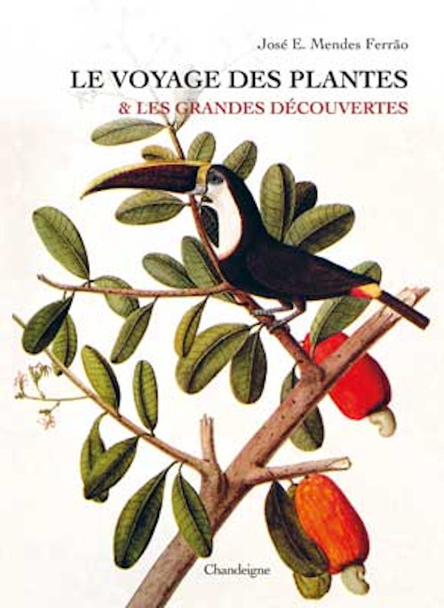 Le voyage des plantes et les grandes découvertes