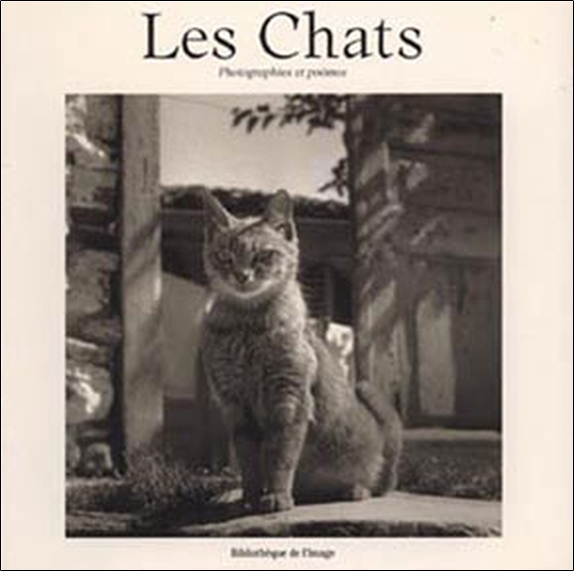 Chats, photographies et poèmes
