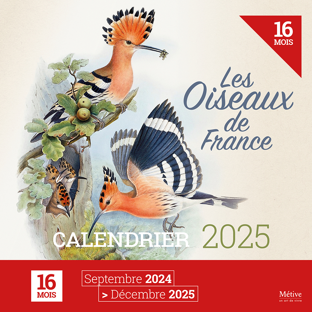 Les oiseaux de France - Calendrier 2025