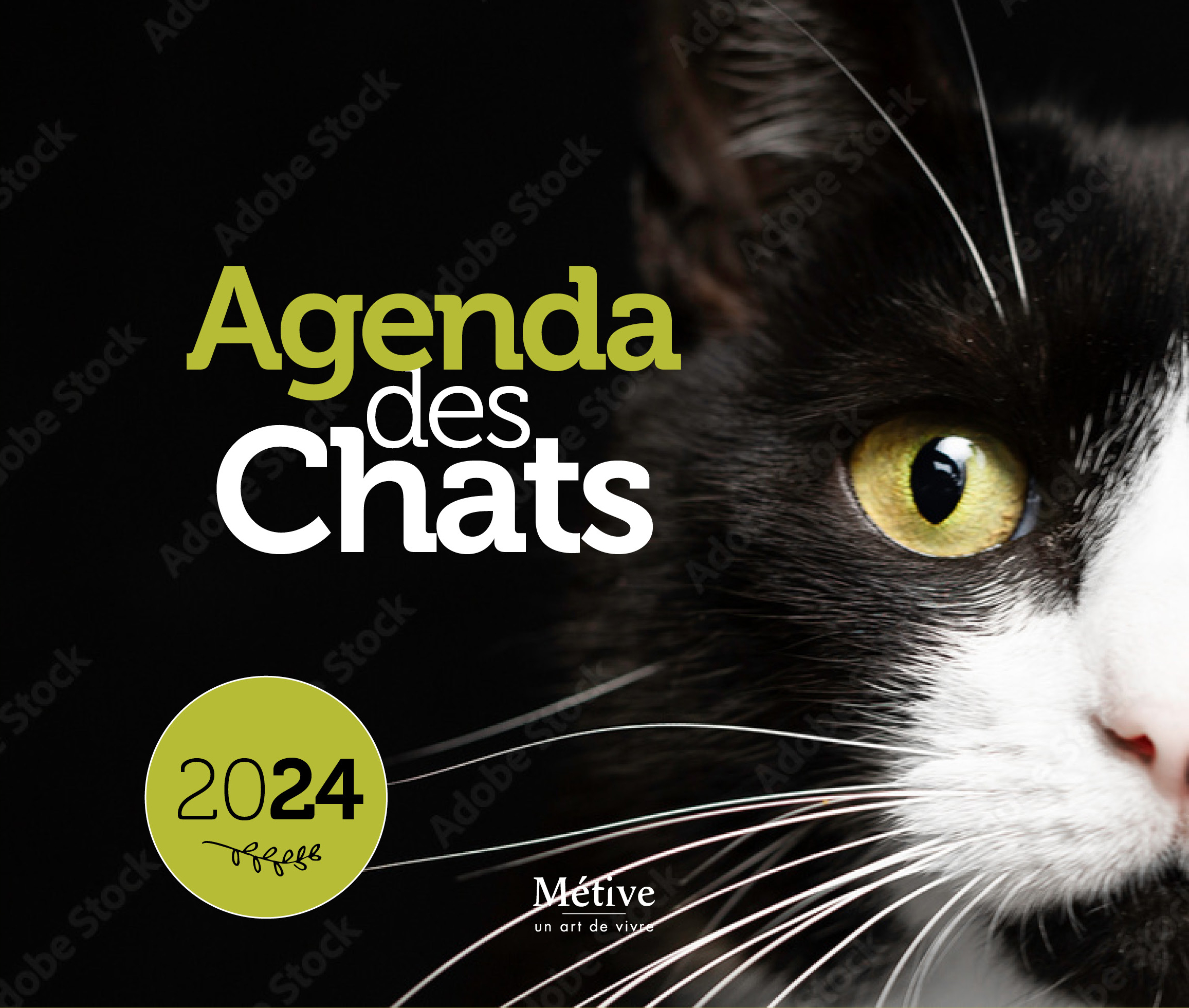 Agenda des chats 2024