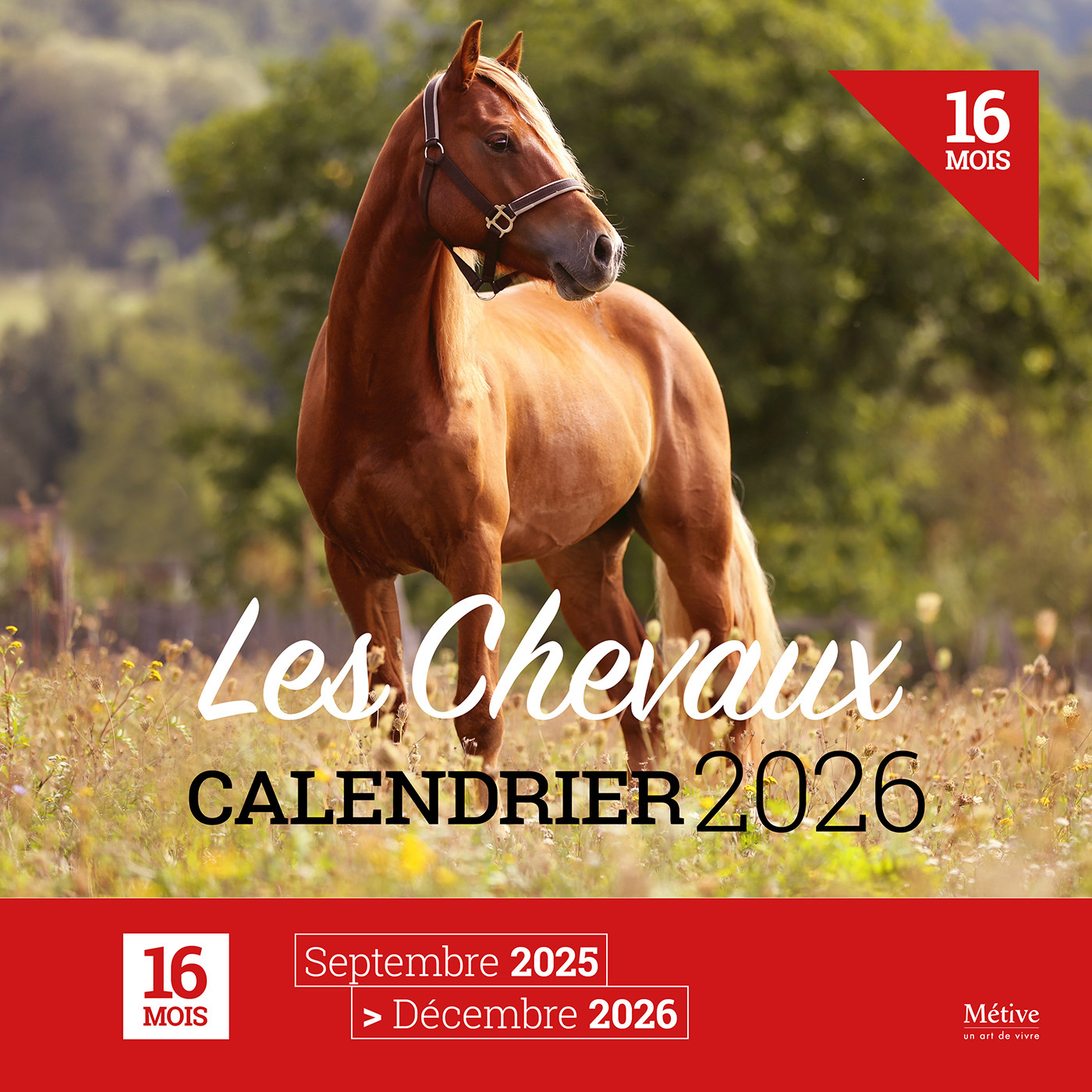 Les Chevaux - Calendrier 2026