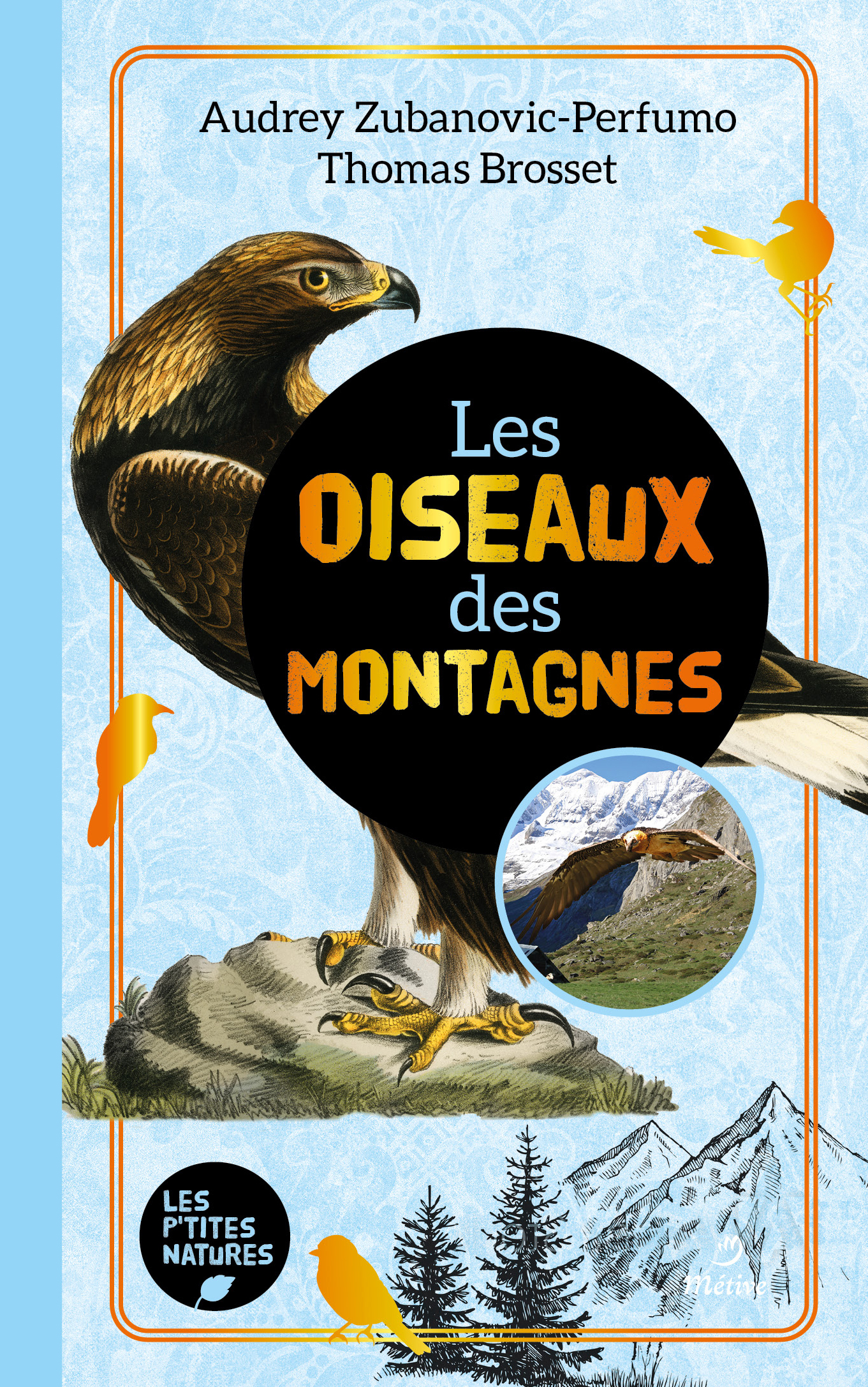 OISEAUX DES MONTAGNES (COLL. LES P'TITES NATURES) (BP)