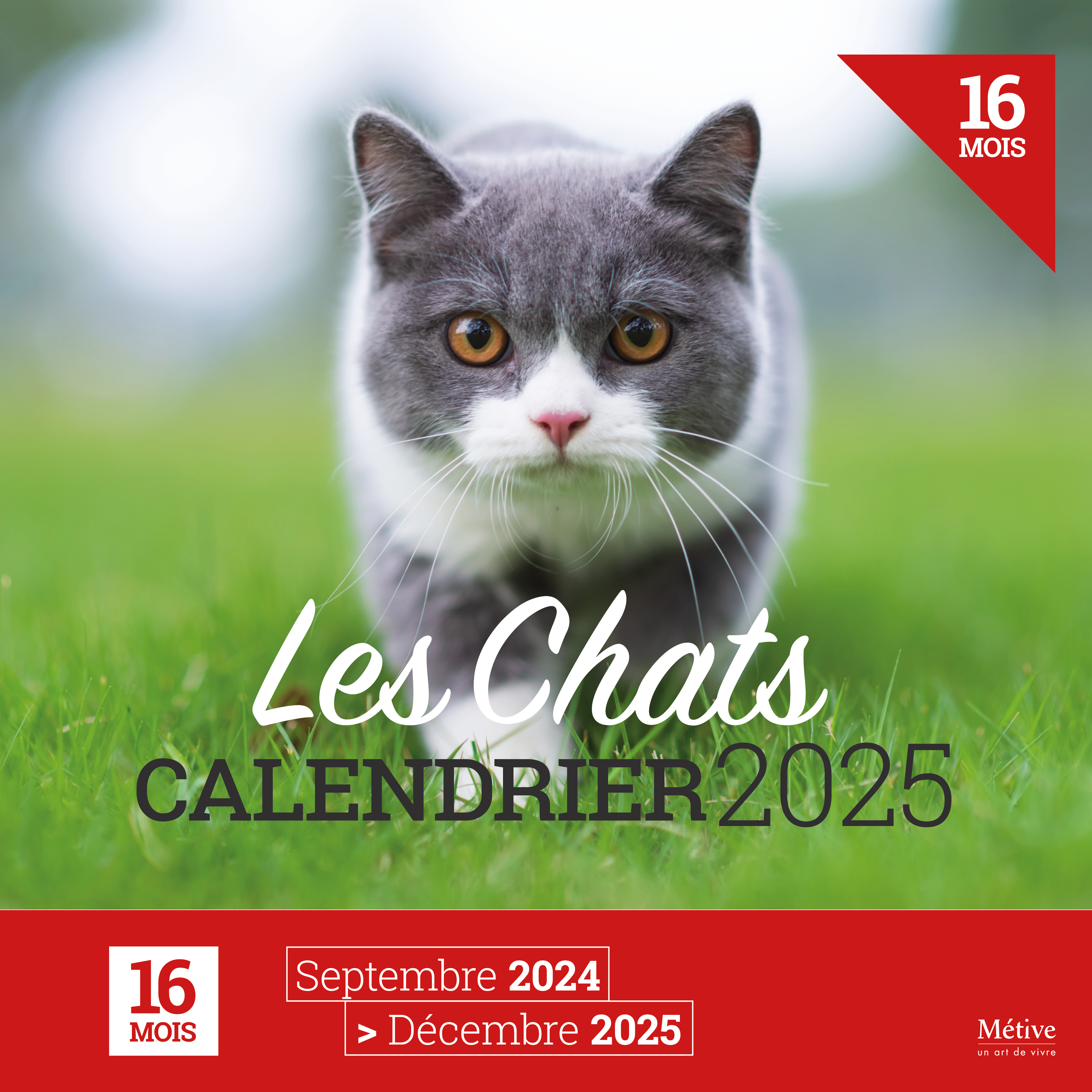 Les chats - Calendrier 2025