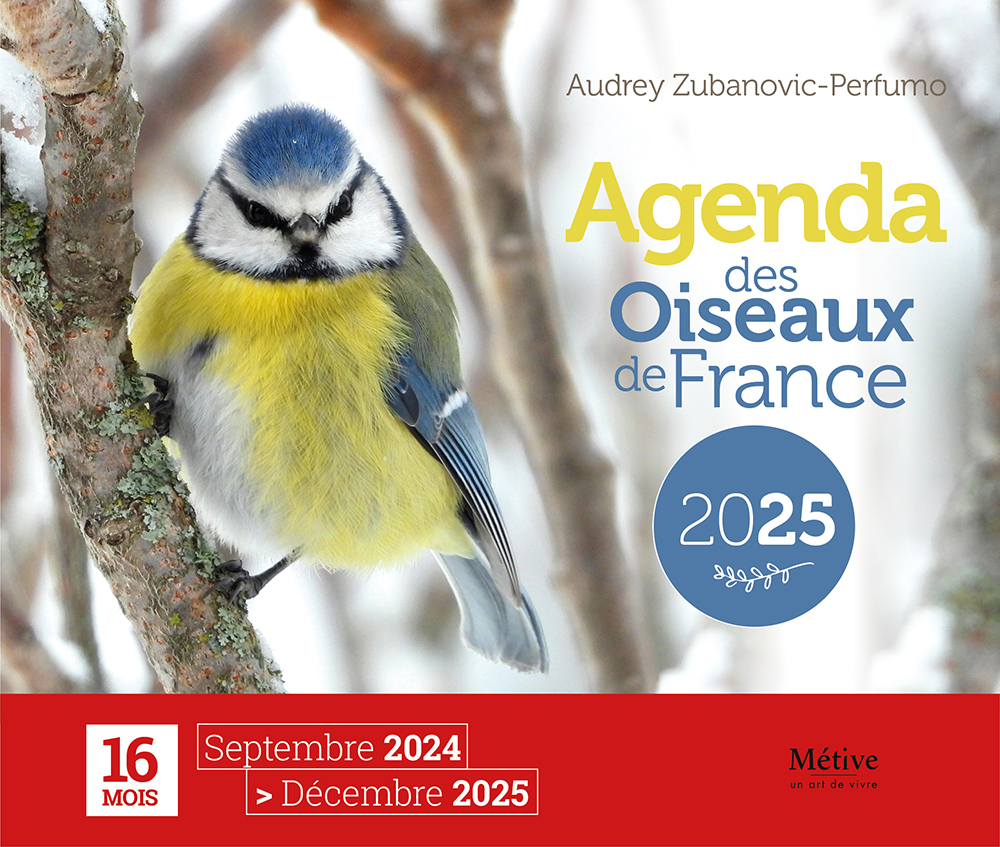 Agenda des oiseaux de France 2025