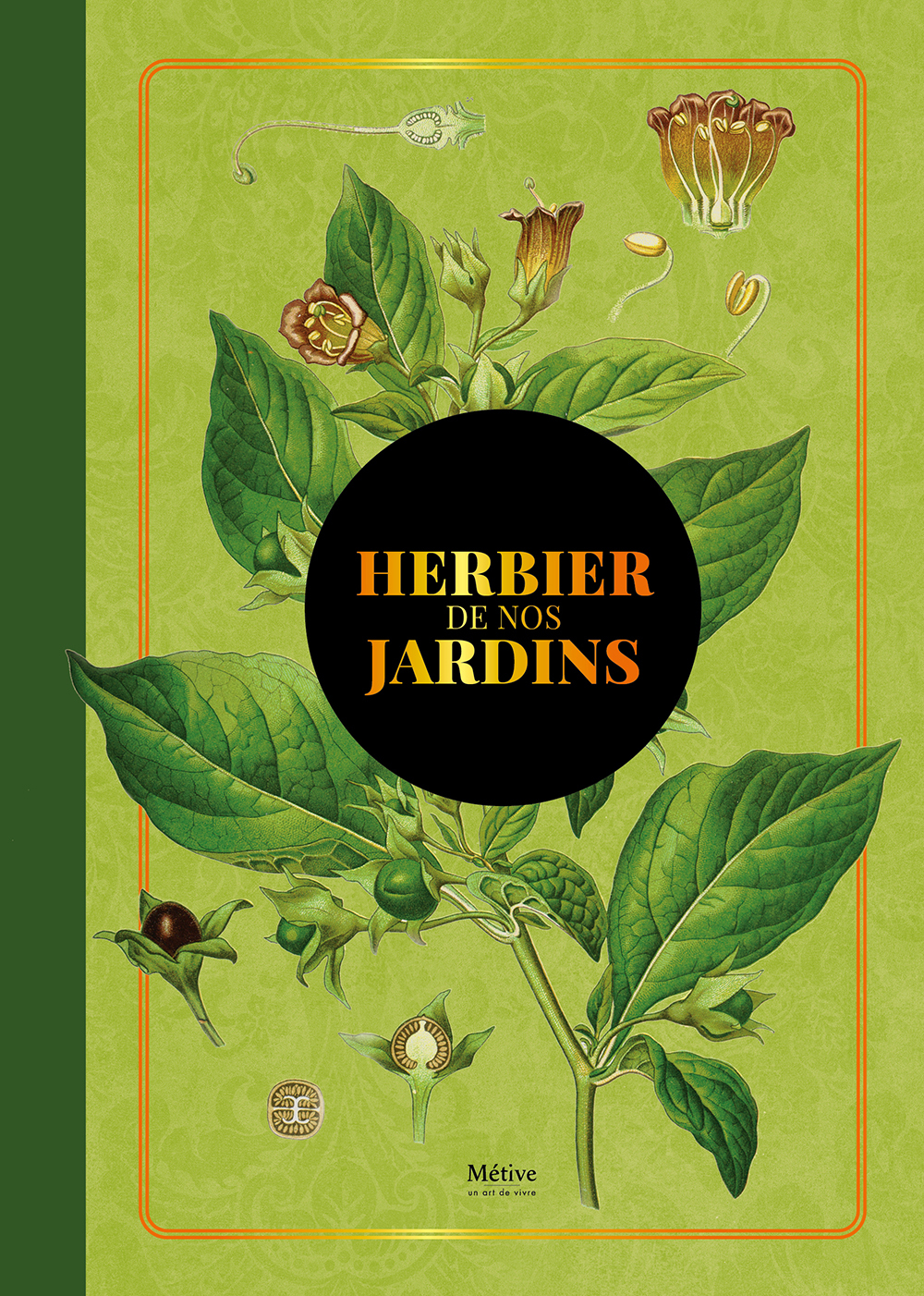 Herbier de nos jardins