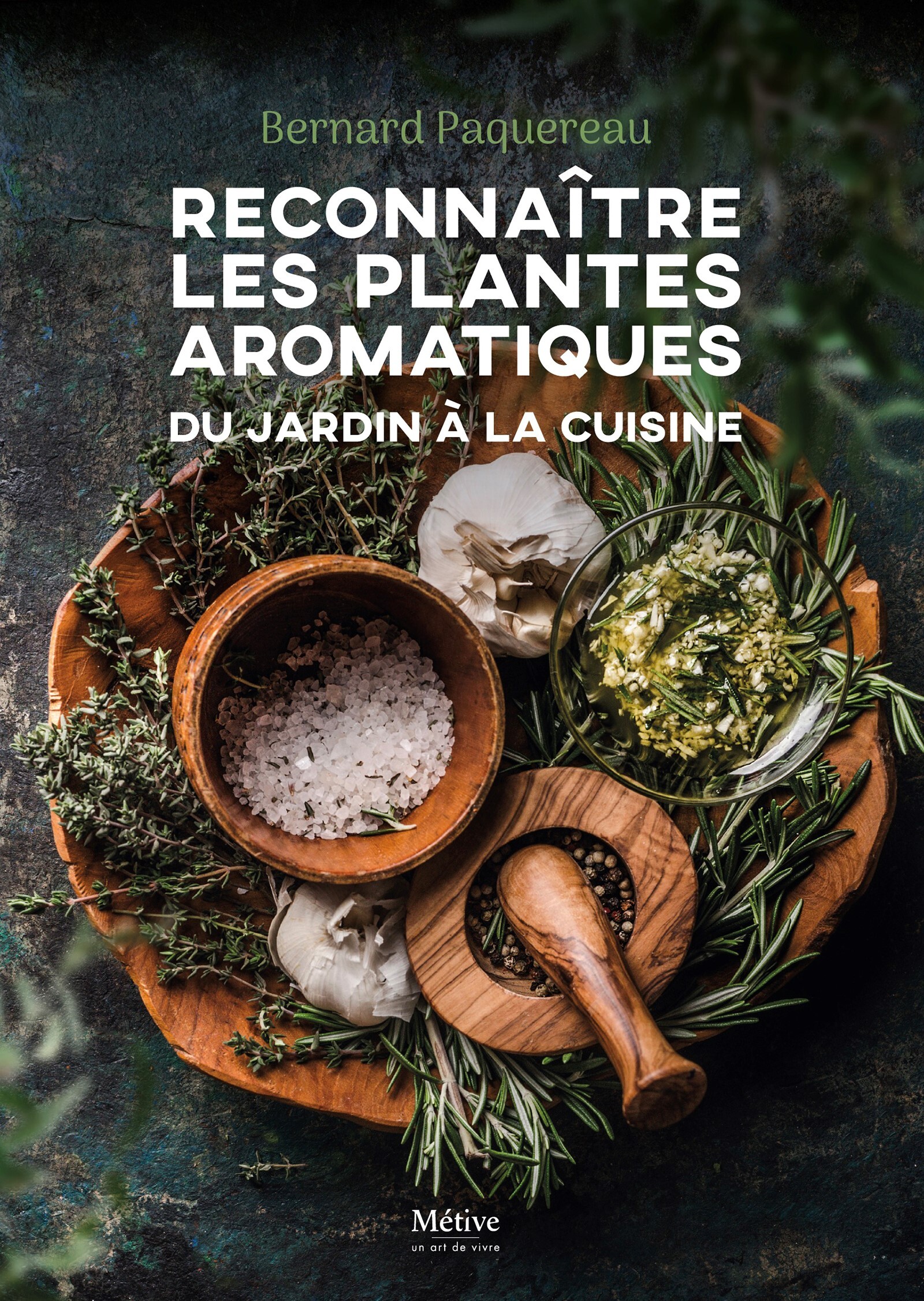 Reconnaître les  plantes aromatiques