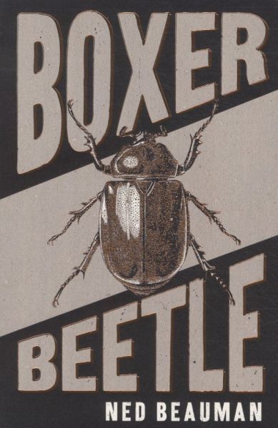 Boxer, Beetle