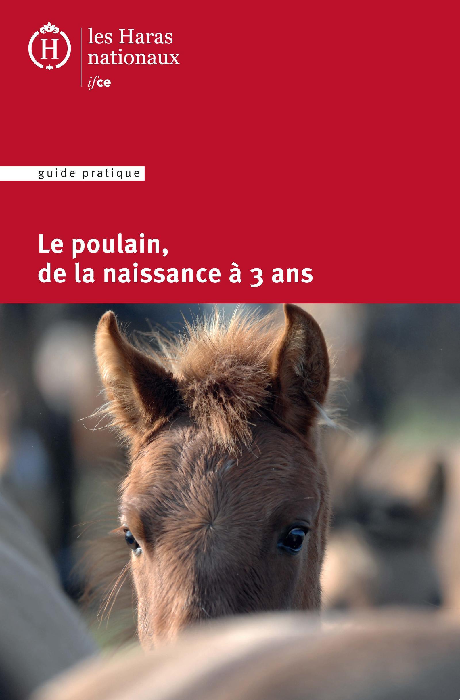 LE POULAIN DE LA NAISSANCE A 3 ANS