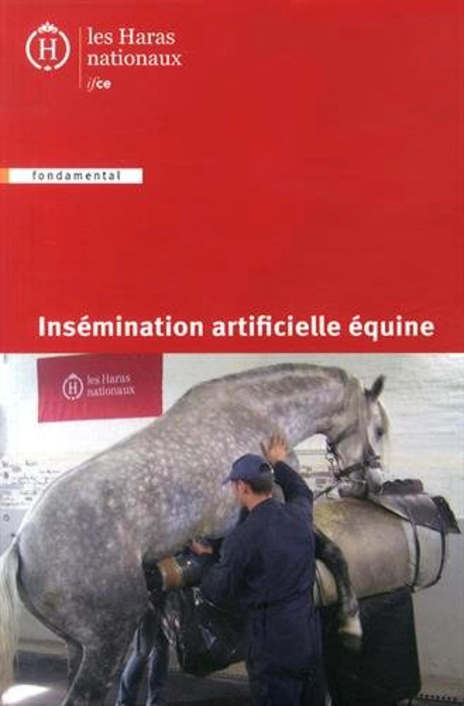 Insémination artificielle équine