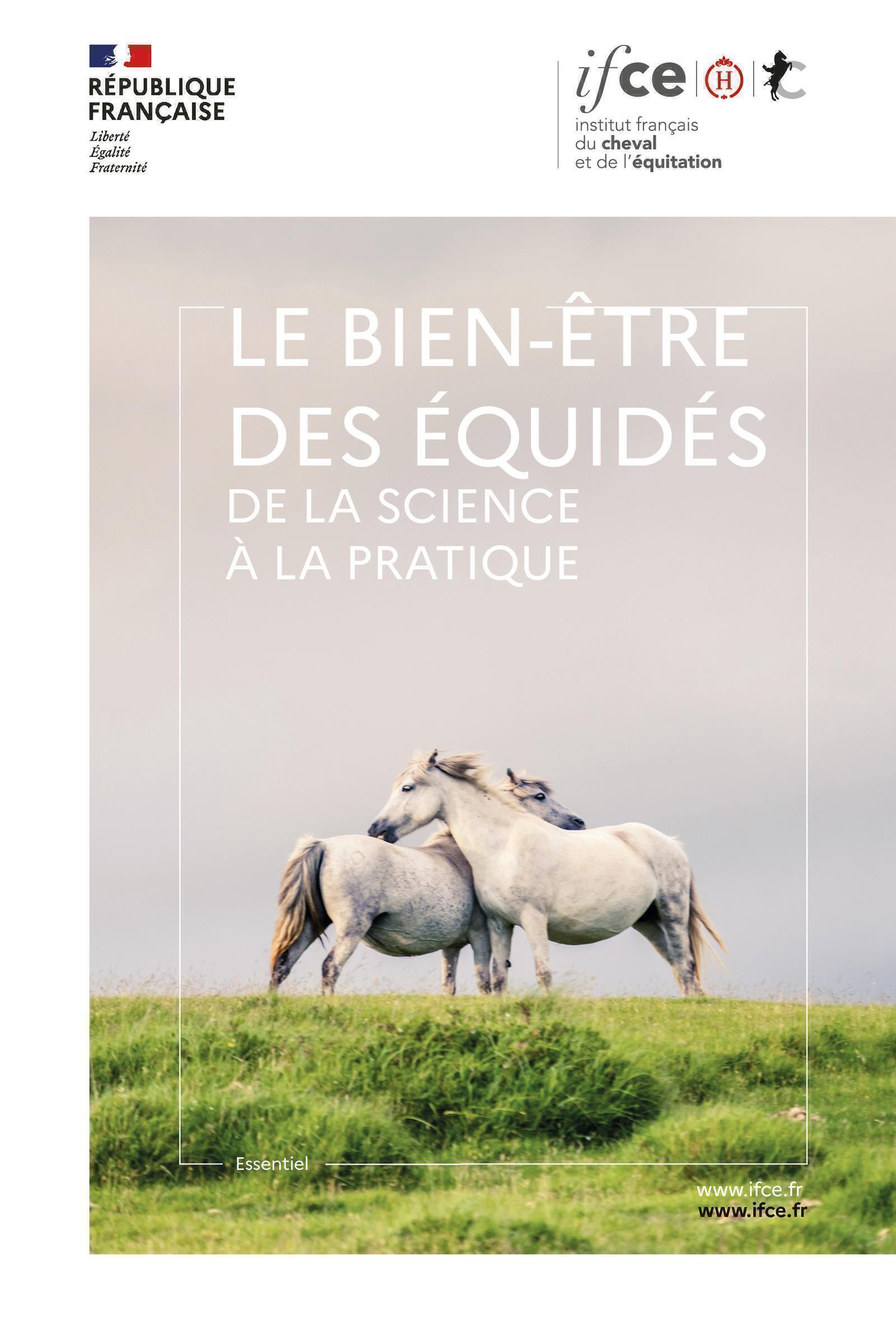 Le bien-être des équidés