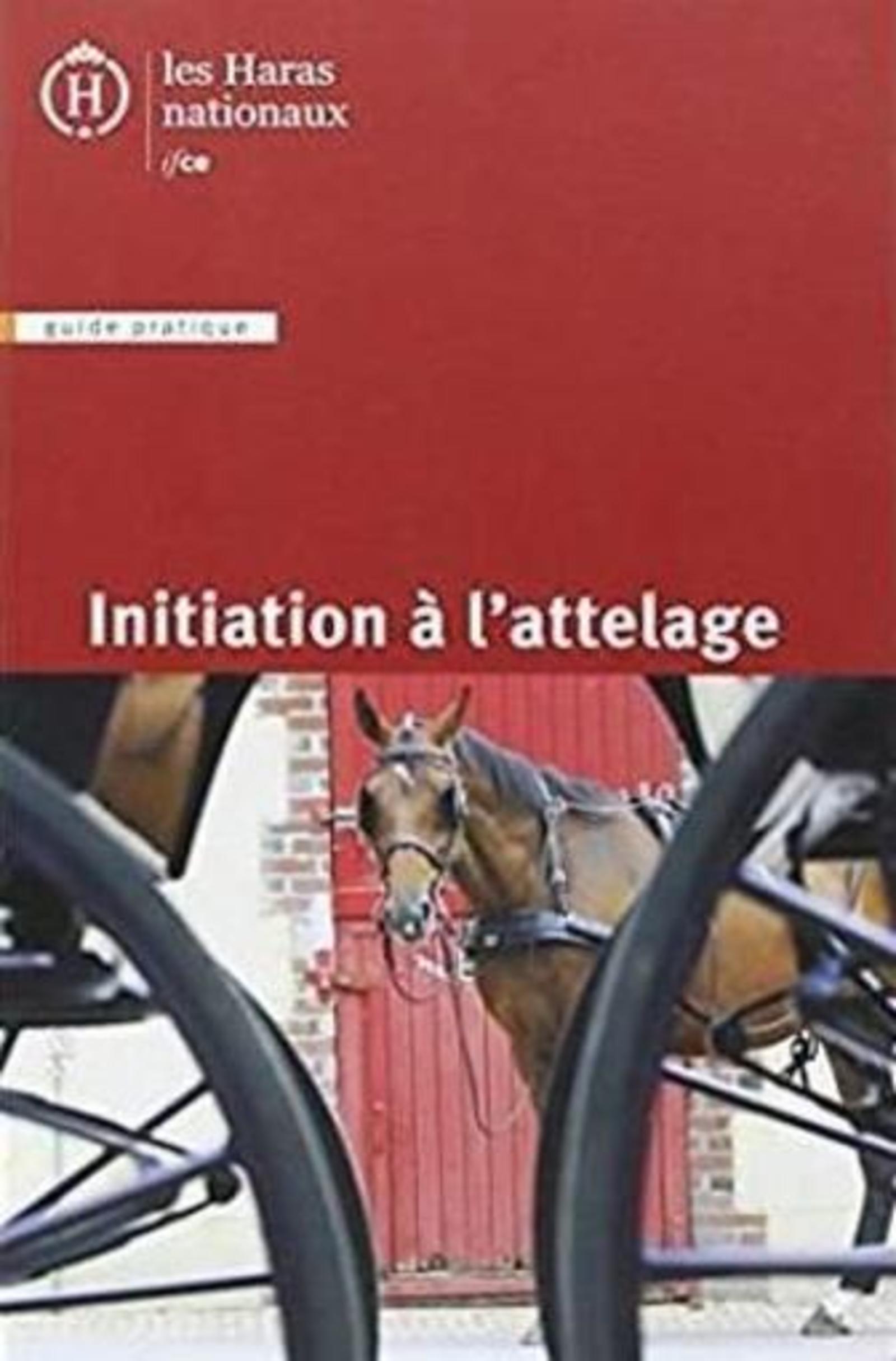 Initiation à l'attelage