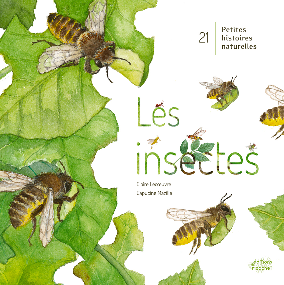 Les Insectes !