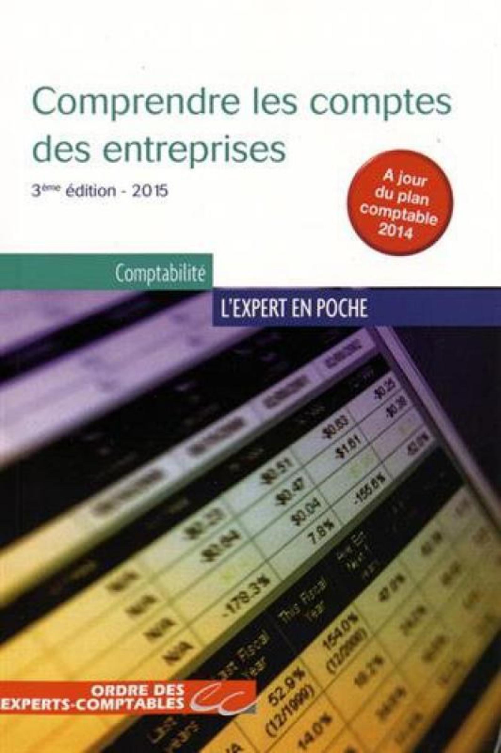 Comprendre les comptes des entreprises - 3ème édition - 2015